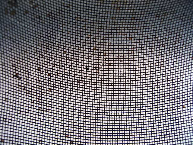 Curved Netting