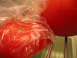 Fresh Vegetables