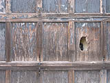 Ventilated door 1