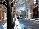 MIT, Boston, Future