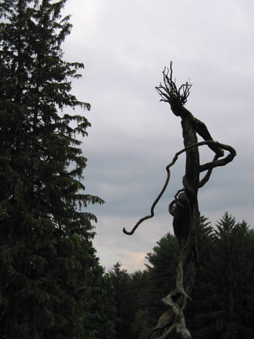DeCordova, Man against the world