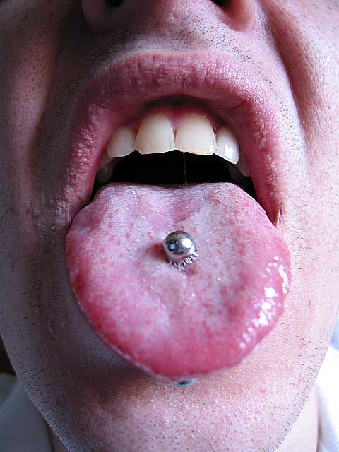 Taste buds