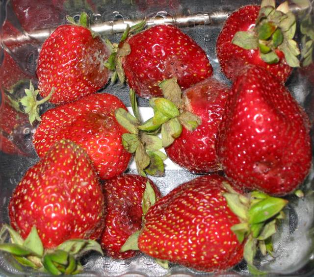 Returned strawberries