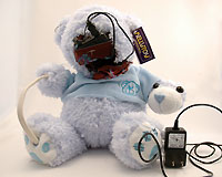 Happy Bear